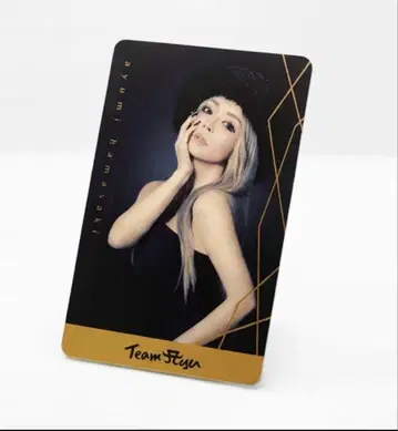 하마사키 아유미 TA 여권