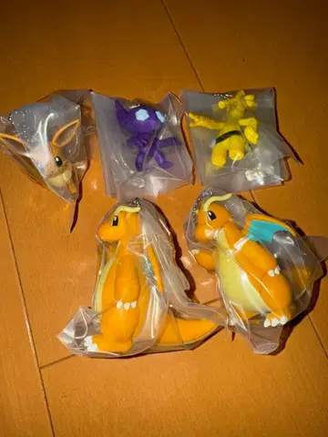 포켓몬스터 가샤토 콜렉트 05 카이류 이브이 야밀라미 서프고