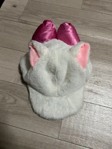 디즈니 마리 캡