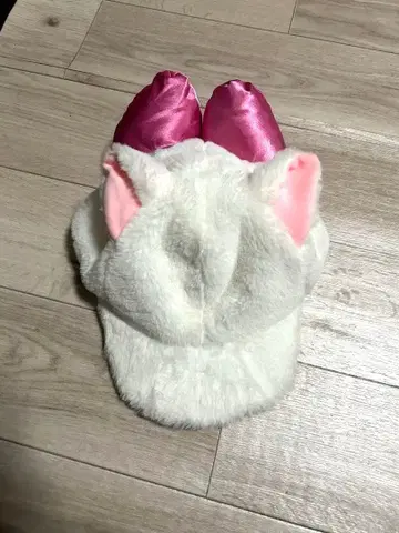 디즈니 마리 캡