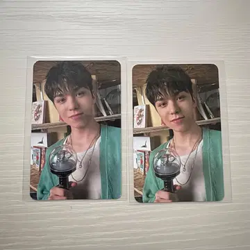 버논 트레이딩 카드 carat zone soul asia