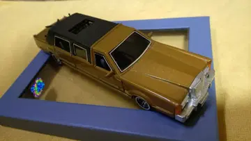 골드 리무진 모델