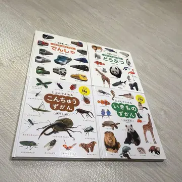 혼자서 읽는 도감 기차 동물 스스로 읽는 도감 곤충 생물