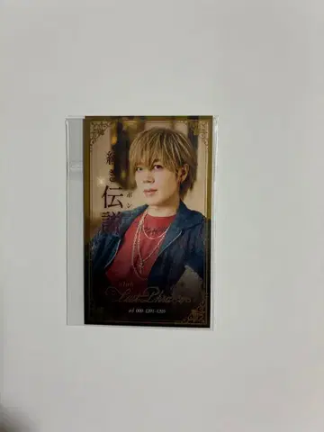 시마사카 BD 2025 실사 명함풍 랜덤 카드 홀로