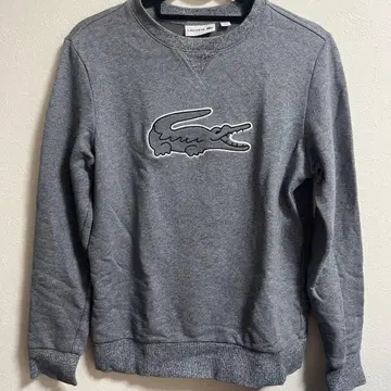 LACOSTE 그레이 맨투맨 US 5