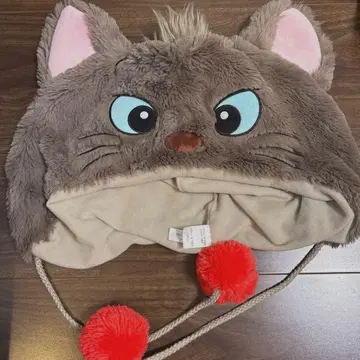 베를리오즈 팬캡 한 번 사용