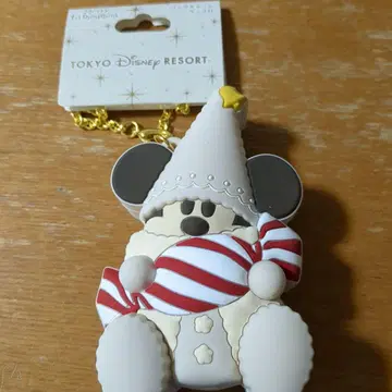 디즈니 리조트 리루린린 백참 2024