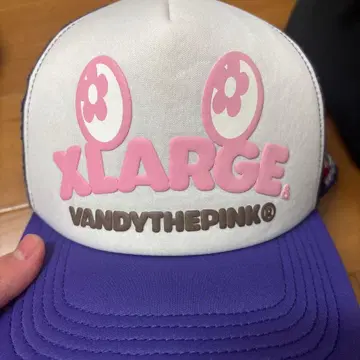 XLARGE 캡