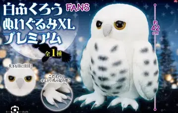 화이트 올빼미 봉제 인형 XL 프리미엄