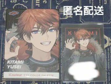 니지산지 키타미 유세이 3SKM iCouleur 아이섀도우 팔레트