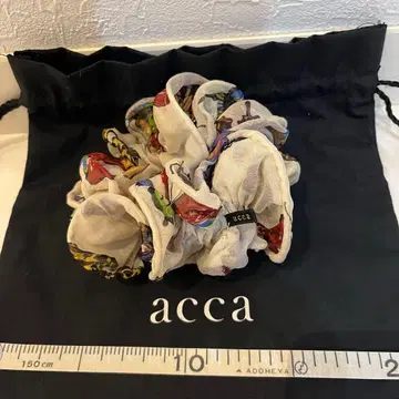 acca 나비 스크런치