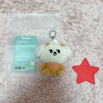 TXT PPULBATU 밤굿 플러시 키링 범규