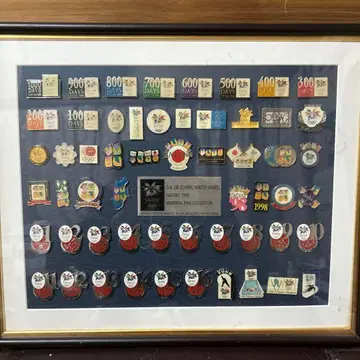 1998년 나가노 올림픽 핀 배지 컬렉션