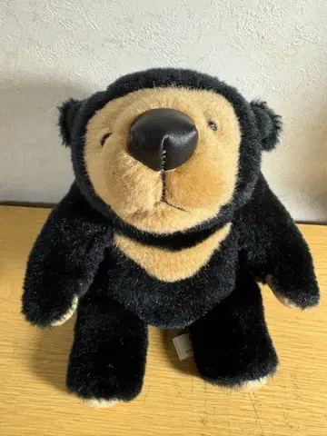 모노슈 모레이짱 일본제 봉제 인형