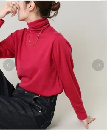 이에나 ALBA 터틀넥 풀오버