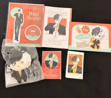 WIND BREAKER 사쿠라 하루카 드레스업