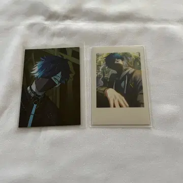 Crazy Raccoon CR Vanilla 발렌타인 셀피 카드