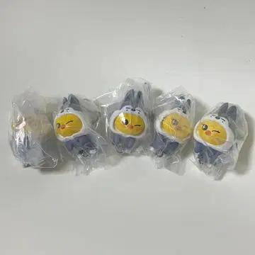 SKZOO 가챠 츠마츠나 vol.2 포갈이 5세트