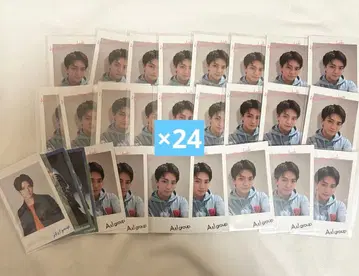 마사카도 요시노리 chameleon 폴라로이드