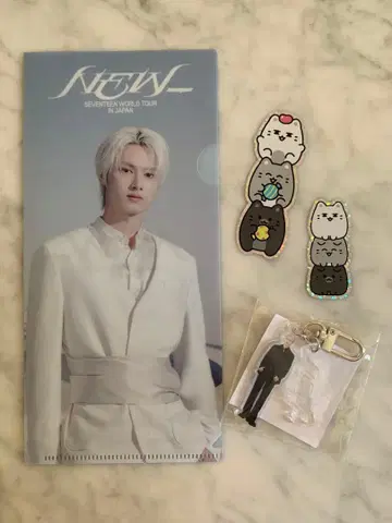 SEVENTEEN NEW 준 티켓 홀더 키링 OCL