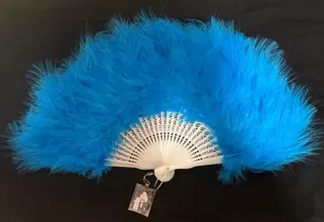 하카세 타로 센스 하카센스