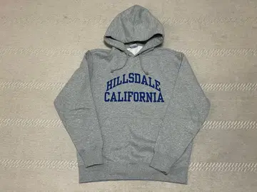 챔피온 트리코롤 택 풀오버 후드티 C3-Z108