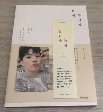 N.Flying 에누후라 봄이 부시게 봄이 눈부셔