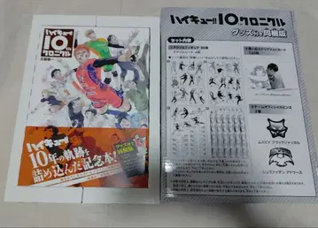 하이큐!! 10th 크로니클 굿즈 포함 한정판