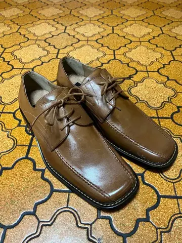 브라운 가죽 신발