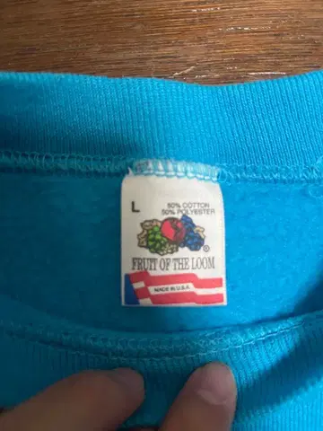 FRUIT OF THE LOOM 파랑 L 트레이닝복