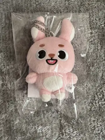 DAY6 데니멀즈 PIL 원필 백참