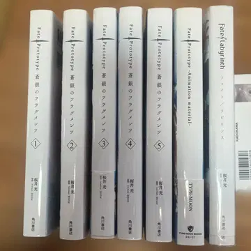 Fate/Prototype 창은의 플래그먼츠 전 5권, 라비린스, 설정집