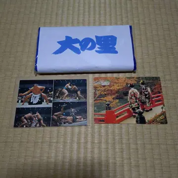 다이노사토 엽서 2장 세트