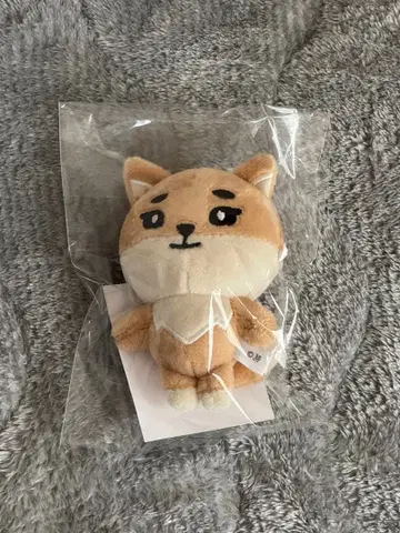 DAY6 데니멀즈 KE 용케이 백참