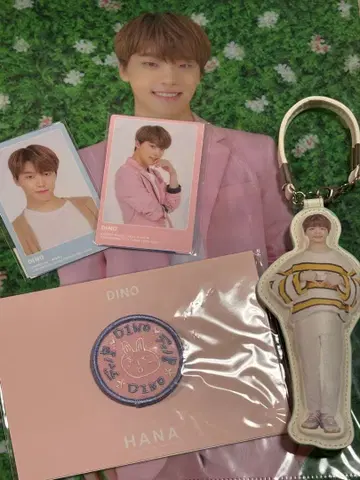SEVENTEEN HARU HANA 디노 굿즈 묶음 판매
