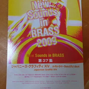 재패니즈 그래피티 14 ARASHI