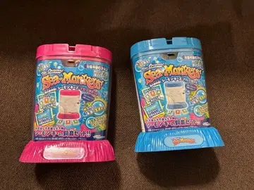 씨몽키 블루&마젠타 세트