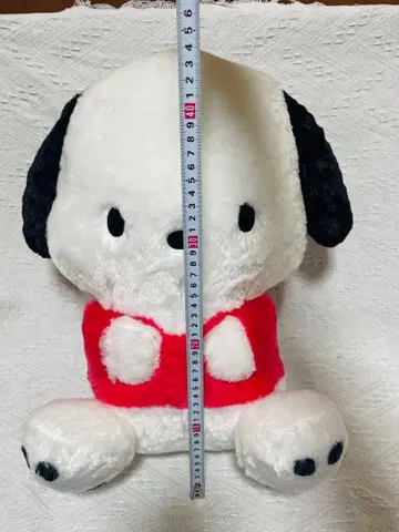 포차코 초초BIG 봉제 인형 폭신폭신 스탠다드 산리오 특대형 점보