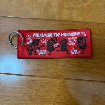 맥시멈 더 호르몬 미니 호르즈 자수 플라이트 택