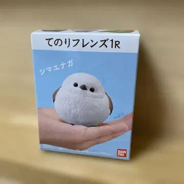 테노리 프렌즈 1R 시마연가