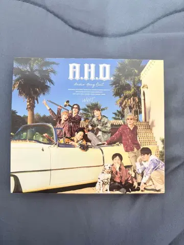 A.H.O. -Audio Hang Out- west. AHO 초회반 B