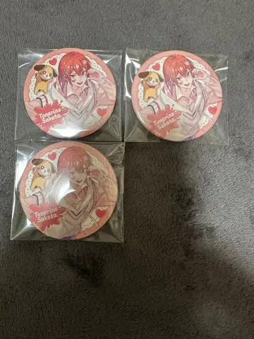 우라시마사카타센 봄 투어 토나리노 사카타 캔뱃지