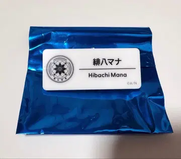 니지산지 니지페스2025 히바치 마나 네임 배지 E 그룹