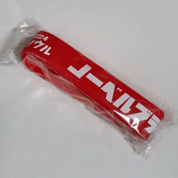 Novelbright 러버 밴드 한국