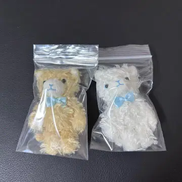 우타프리 프린스캣 푸치 아쿠아 카뮤