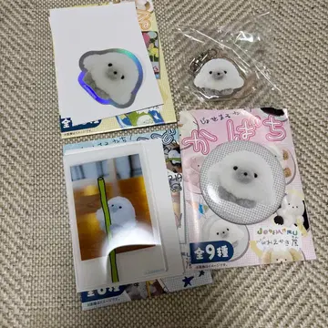 [내일 발송] 조세마루