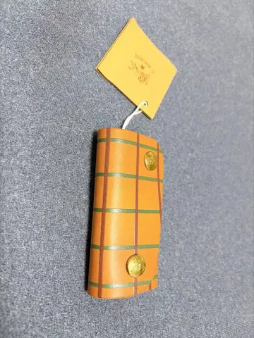 일비종떼 키케이스