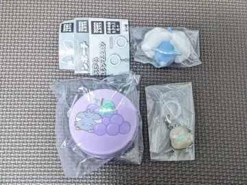 포켓몬 포켓피스 가챠