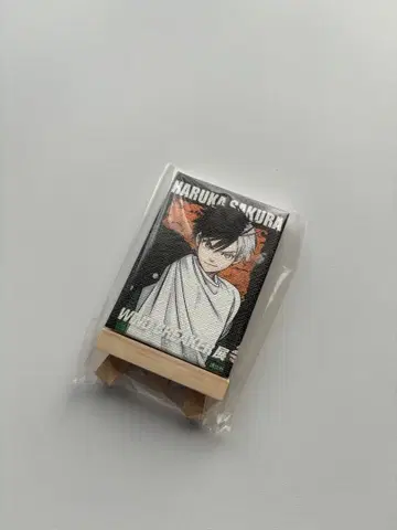 윈브레전 사쿠라 하루카