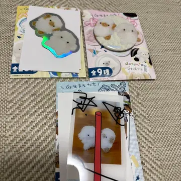 [내일 발송] 조세마루